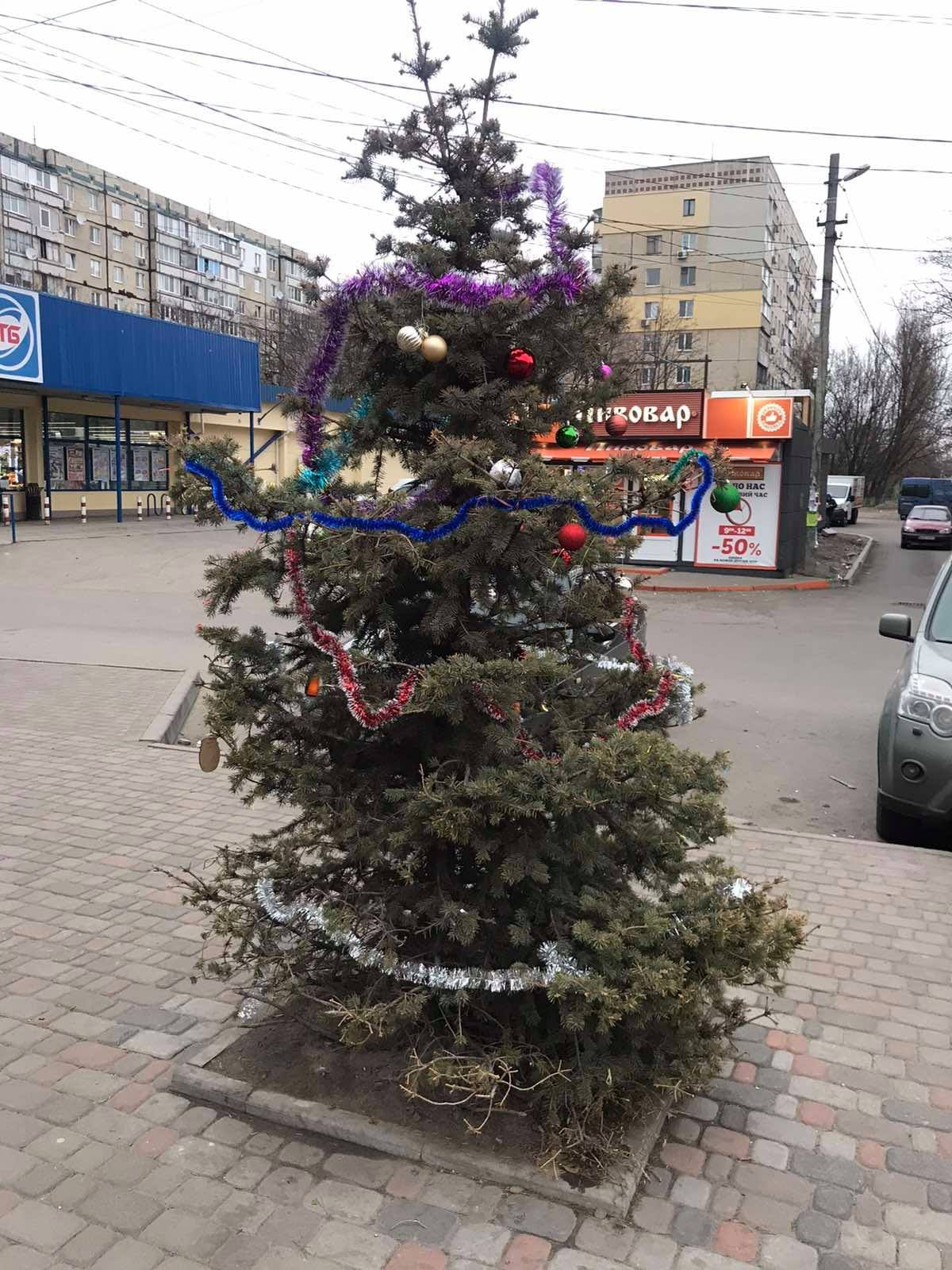 На Калиновском украсили елочки / фото: fb Оксана Короленко