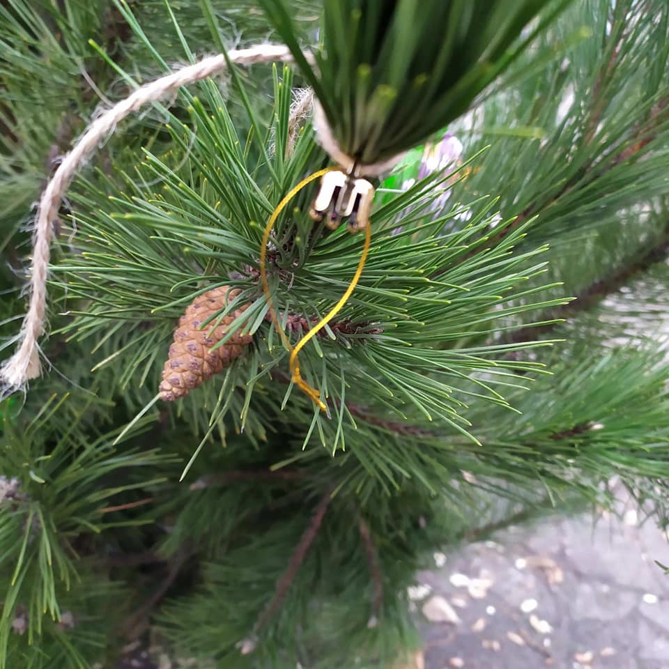 Украли игрушки с елки на Игрени / фото: fb Светлана Коваленко