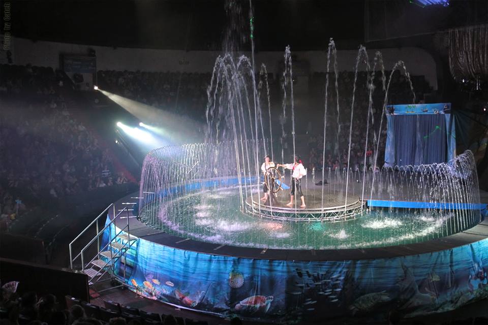 Цирк / фото: dv-gazeta.info