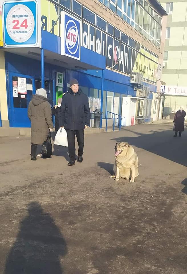 Встретить ее можно на рынке / фото: fb Днепруха