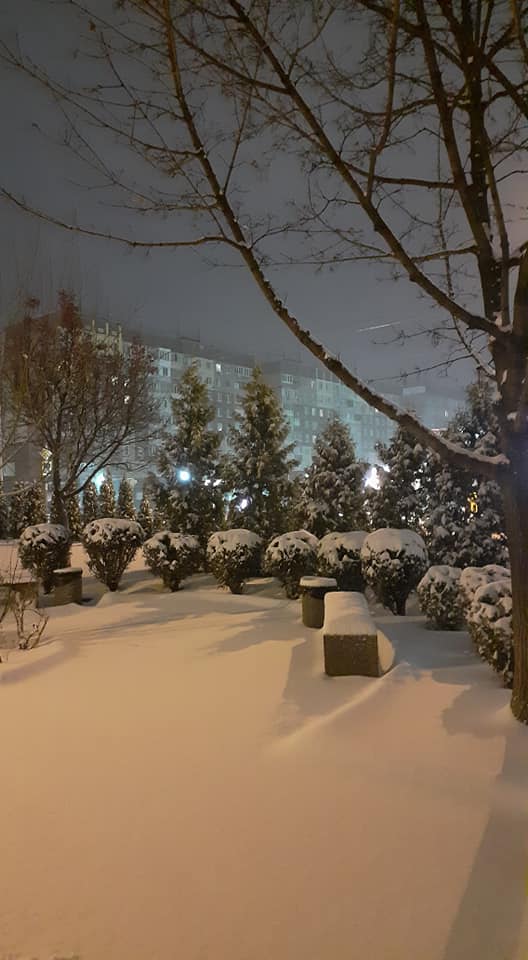 Красота на Левобережном / фото: fb Светлана Запорожец