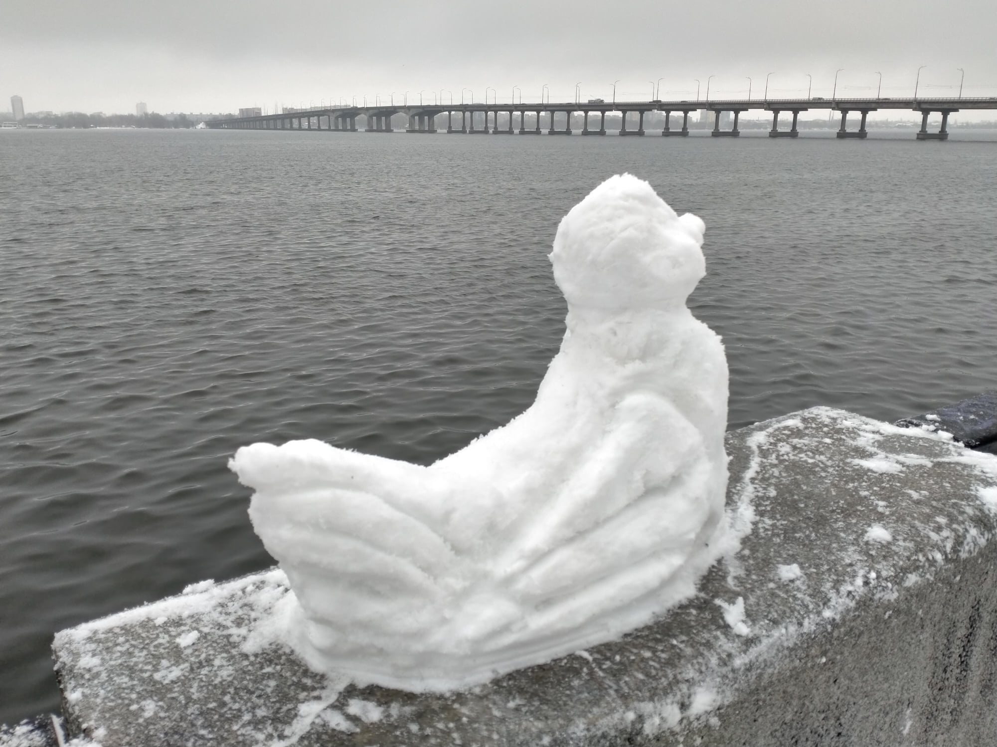 Снежная уточка / фото : fb Andrew Bondik