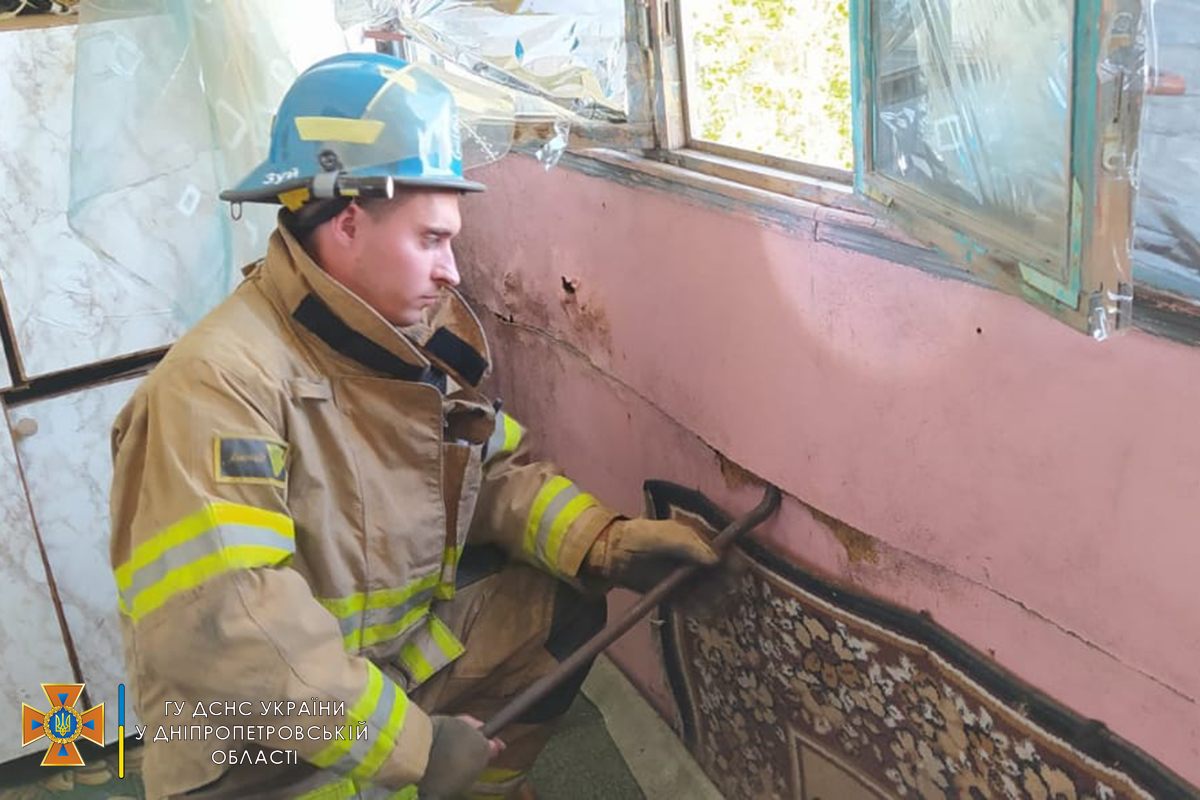 Зверьков нашли под обивкой на балконе - фото: ГСЧС