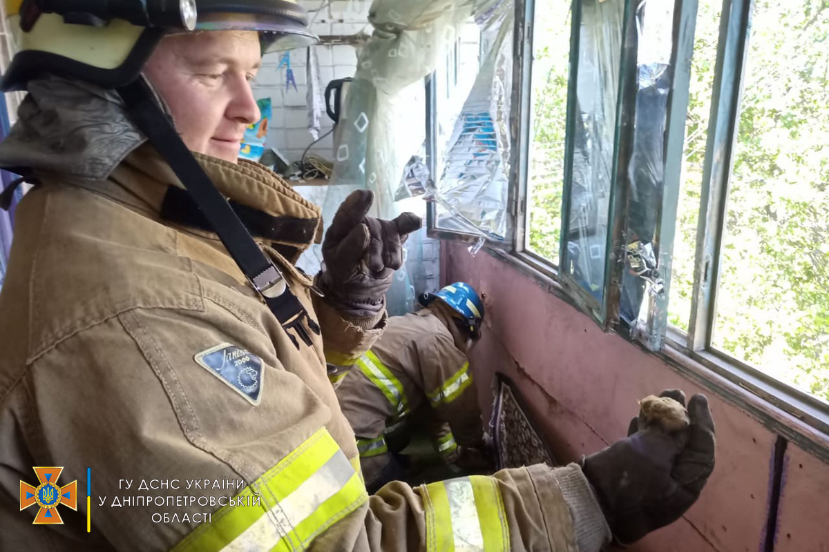 Там нашли полторы сотни малышей  - фото: ГСЧС