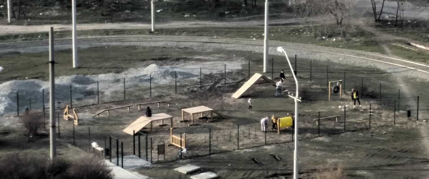 Дети играют на площадке для собак - фото: fb Татьяна Ратушная