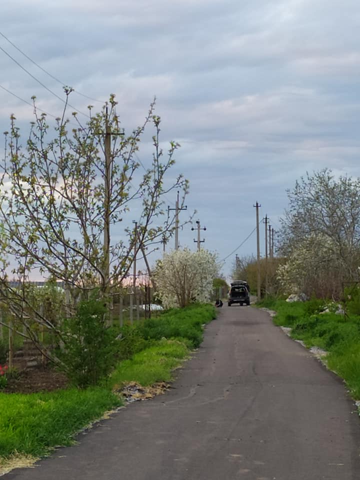 Улицы Зеленая - фото: fb Елена Бабий