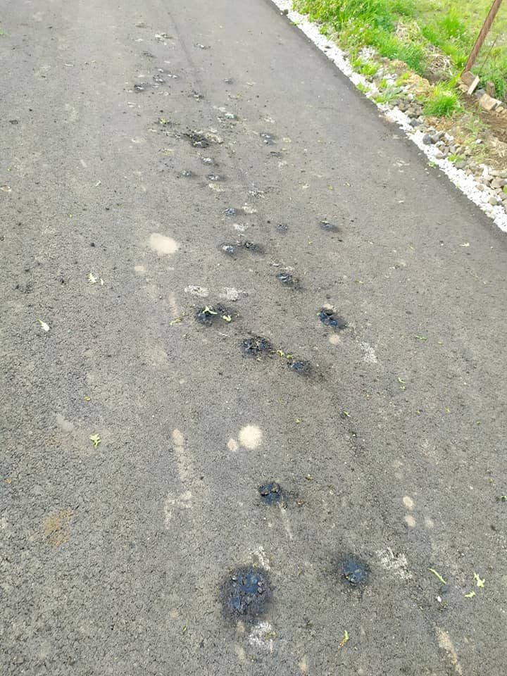 Траву срубили - фото: fb Елена Бабий