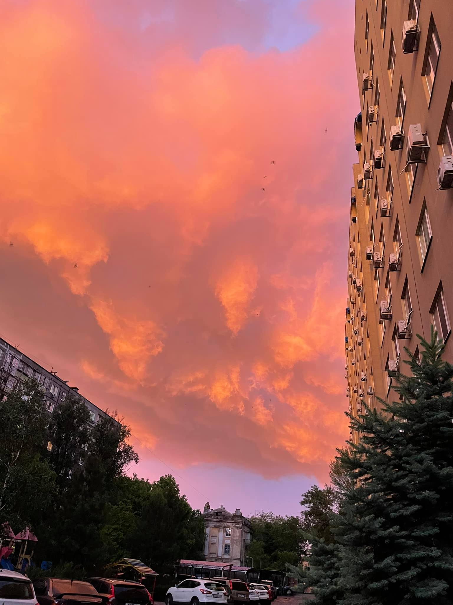 Фото: fb Виктория Сивакова