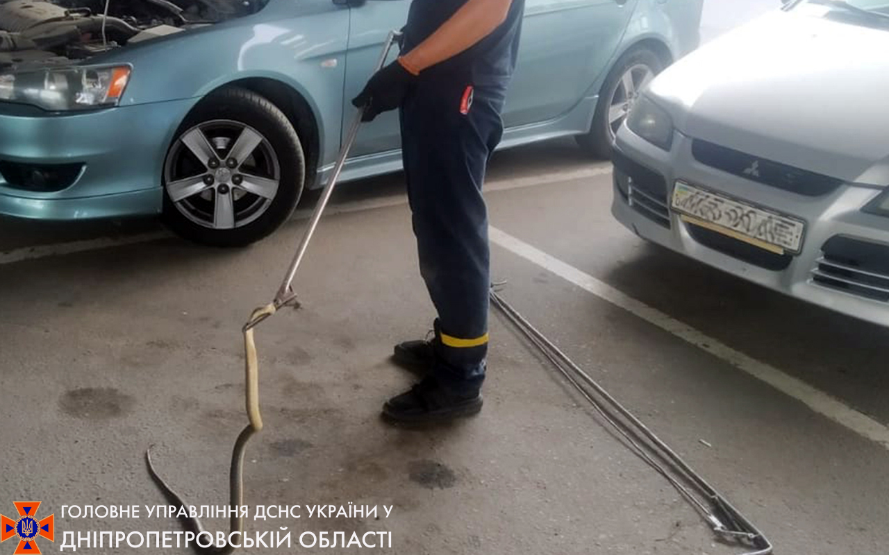 Еще одну достали из машины - фото: ГСЧС