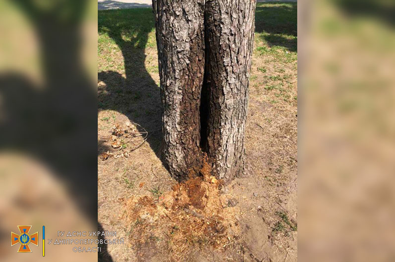 Насекомые укусили ребенка / фото : ГСЧС