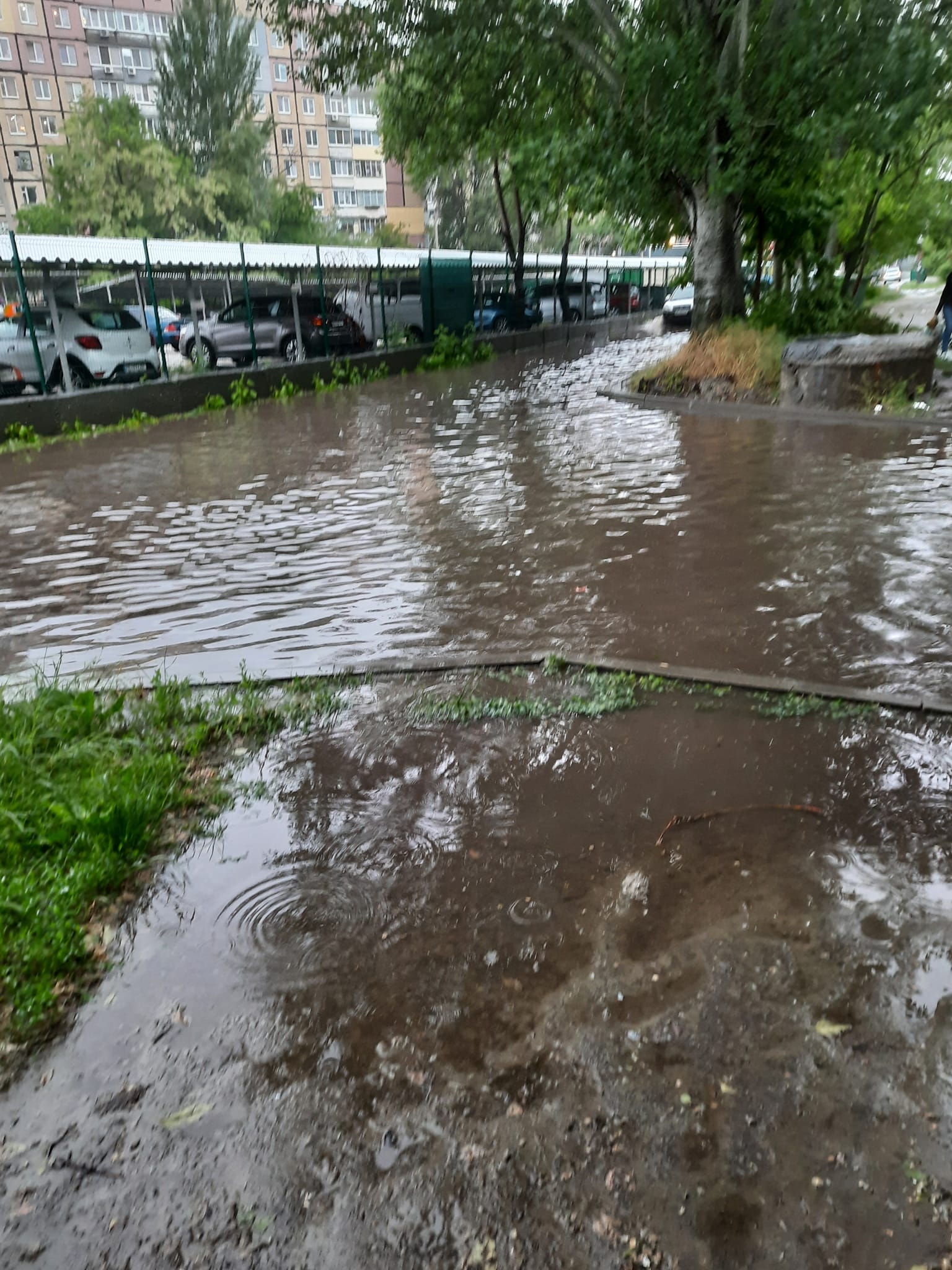 Потоп - фото: fb Svetlana Leonid