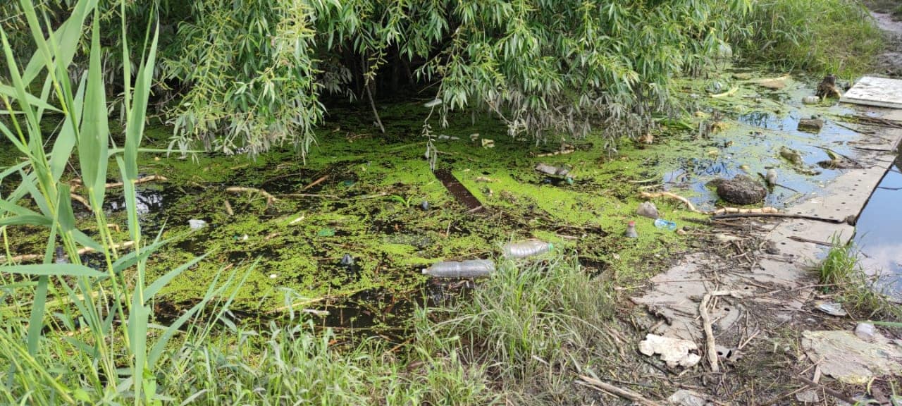 В воде много мусора  - фото: fb Андрій Кульбач