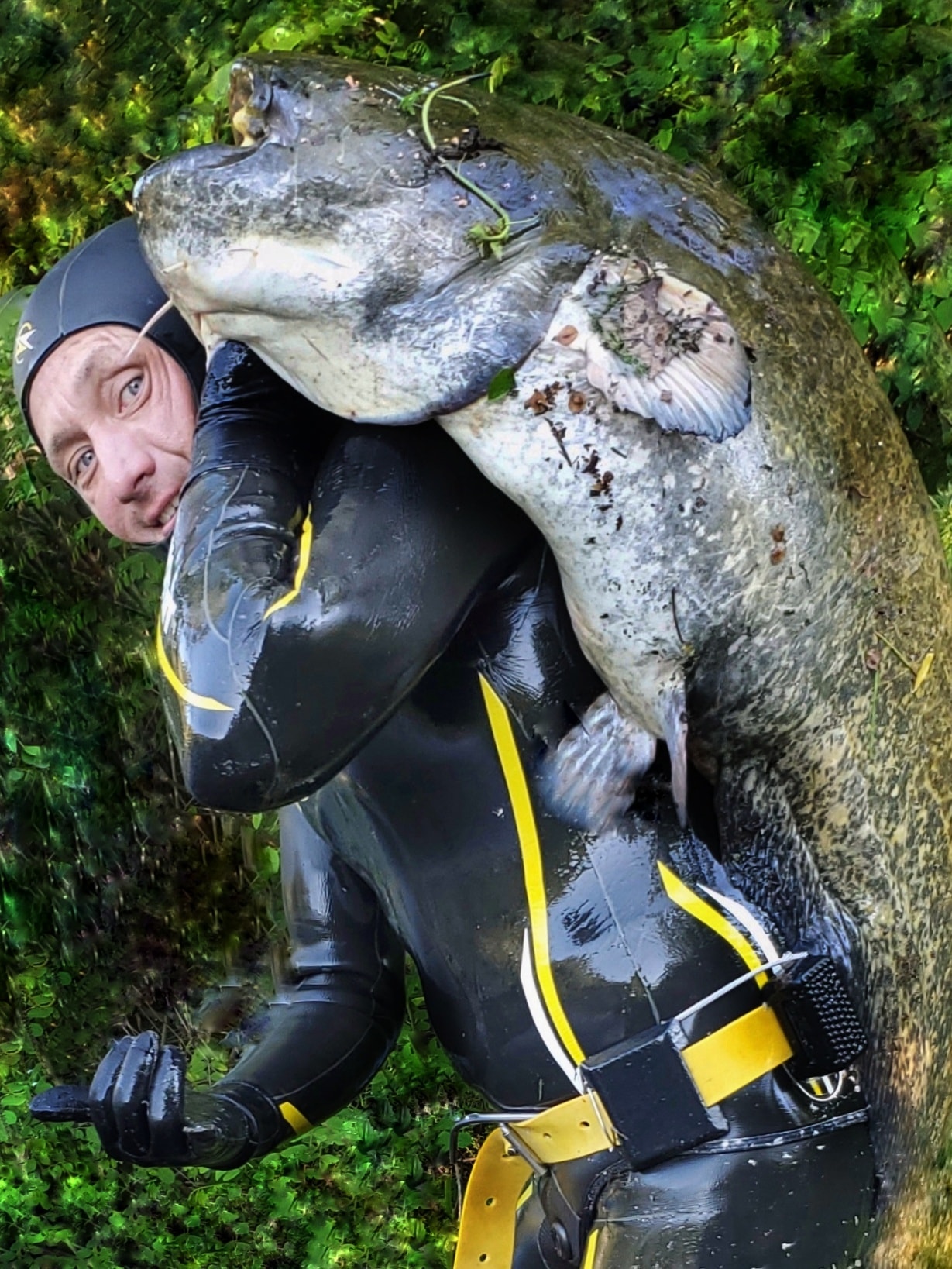 В Днепре поймали огромного сома - фото: fb Pavel Moseychuk