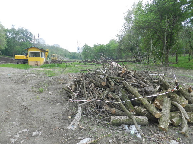 Удаляют аварийные деревья - фото: gorod.dp.ua