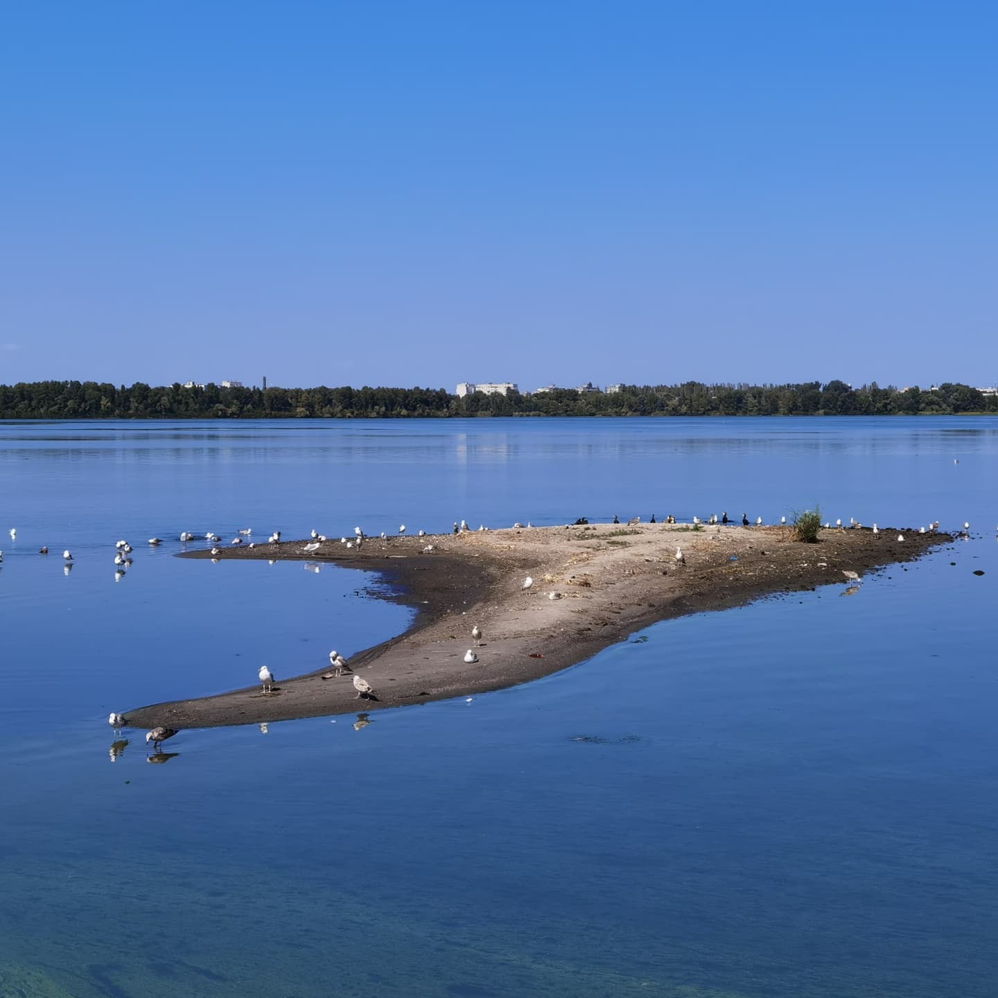 В центре Днепра появился островок - фото: fb Oleksandr Malyy