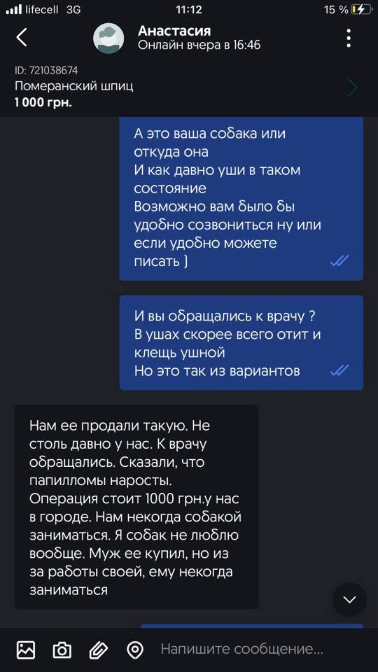 Больного шпица решили продать - фото: fb Дарья Медведева