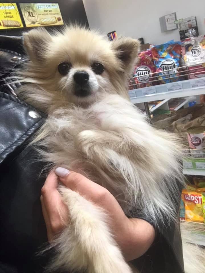 Малыш Пуф - фото: fb Дарья Медведева