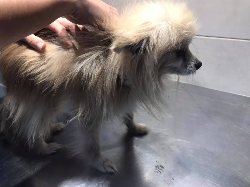 Совсем кроха - фото: fb Дарья Медведева