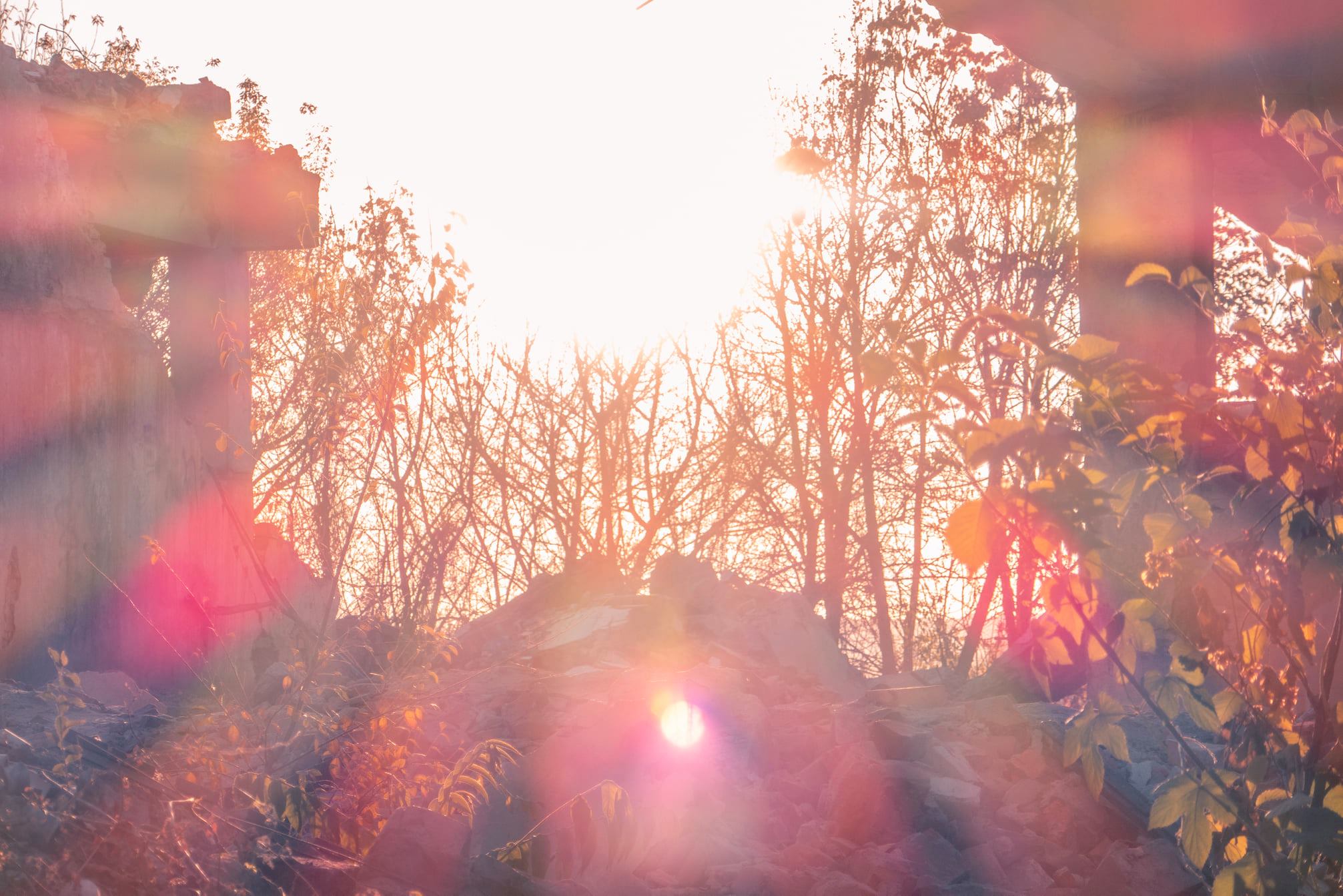 Бывший лимонадный завод - фото: facebook.com/oleksander.yaroshenko