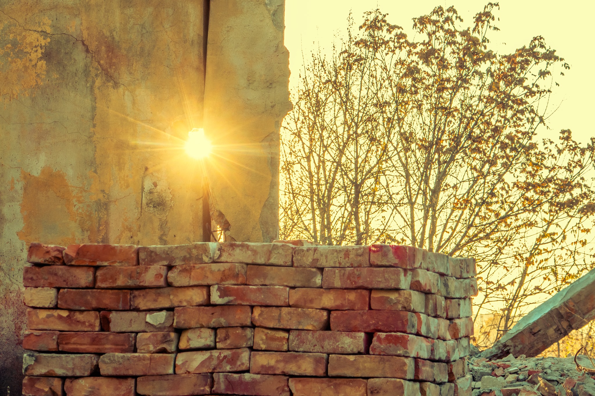 Кирпичи - фото: facebook.com/oleksander.yaroshenko