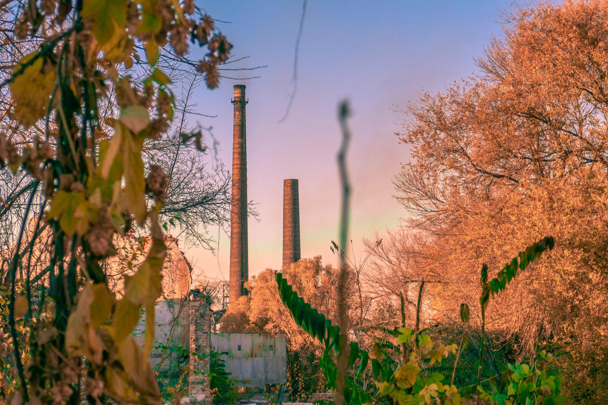 Красота - фото: facebook.com/oleksander.yaroshenko