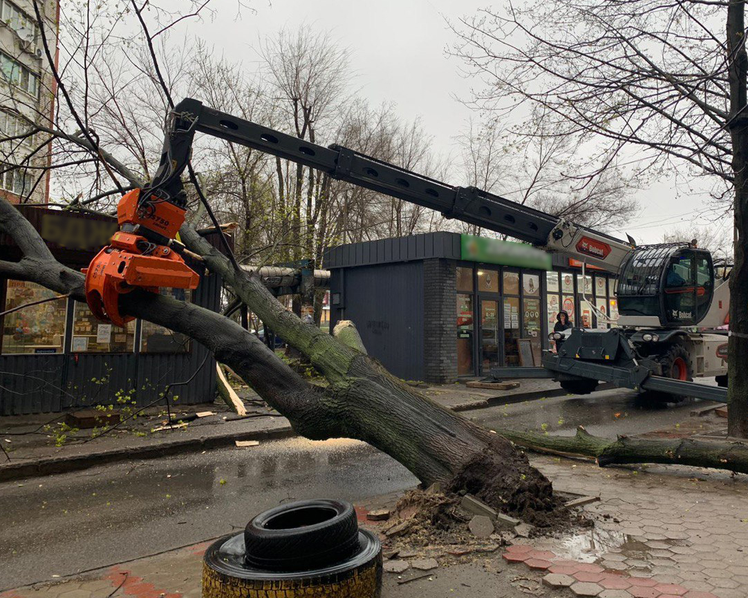В Днепре большое дерево упало на павильоны – || фото: facebook.com/dmrblago