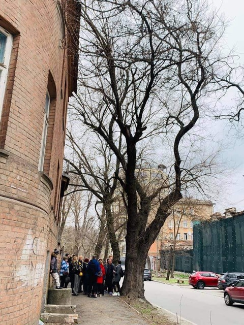 Видатна шовковиця -