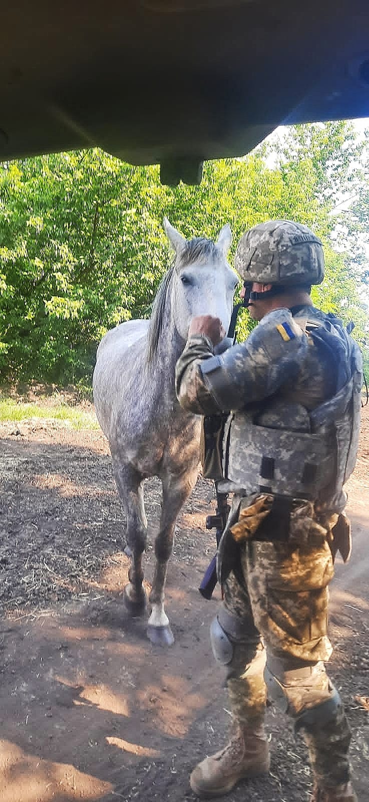 Військові врятували коней, які ледь не загинули під обстрілами - || фото: facebook.com/Дніпропетровська-окрема-бригада-Сил-територіальної-оборони-101808099078062