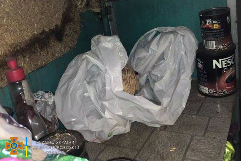 Рой шершней - фото: ГСЧС