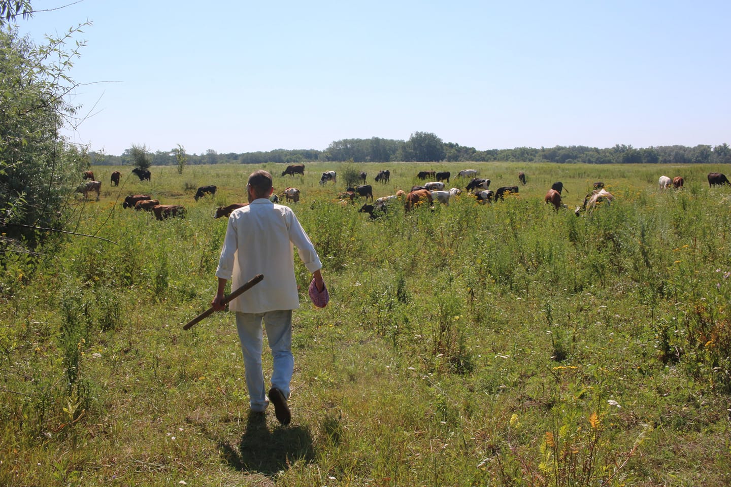 Андрей спас больше 300 коров - фото: fakty.ua