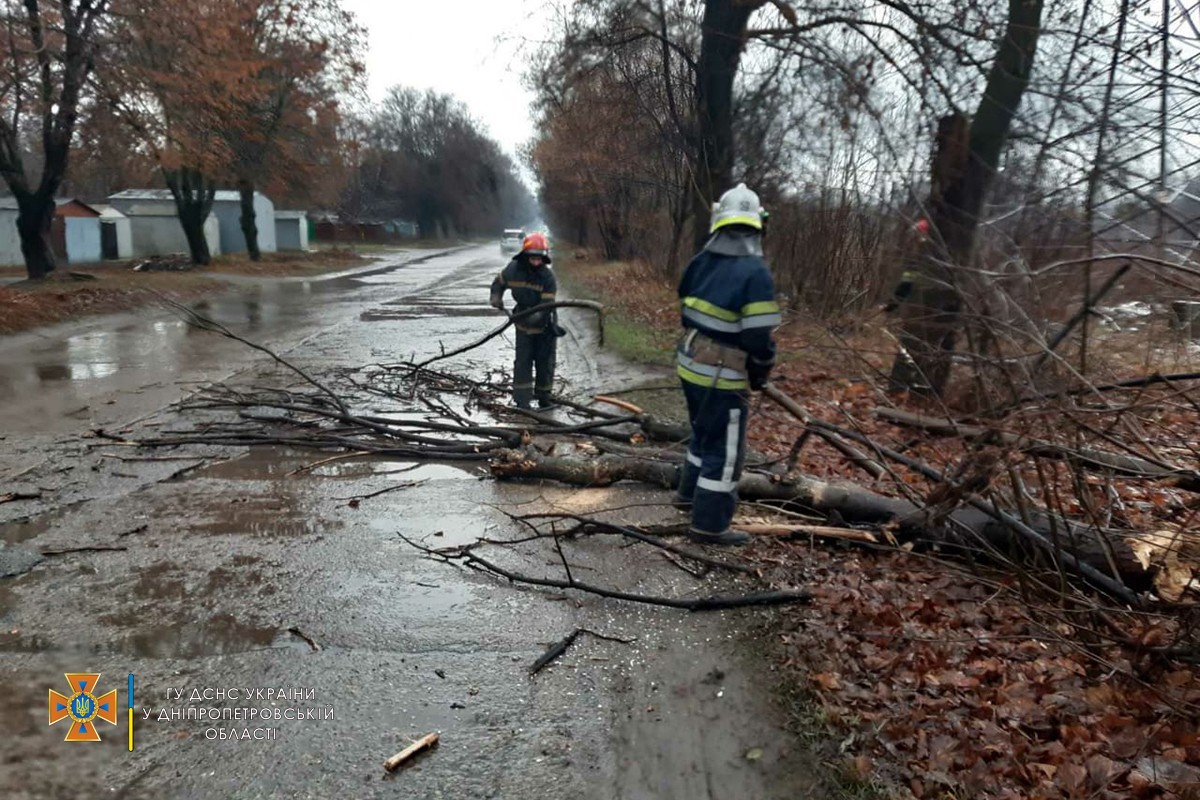 В Днепропетровской области сильный ветер повалил деревья - || фото: dp.dsns.gov.ua