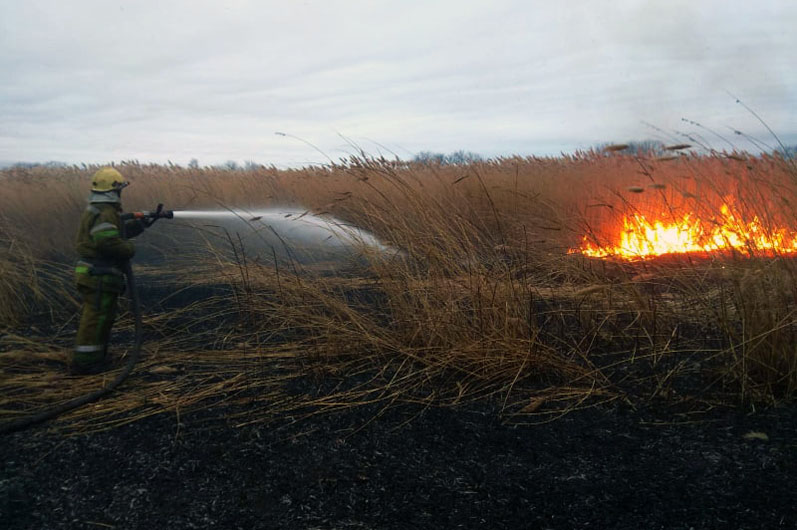 Огонь быстро распространяется на открытой территории / фото: ГСЧС