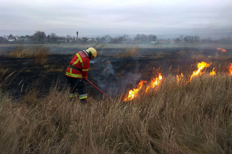 Спасатели тушили пожары несколько часов / фото: ГСЧС