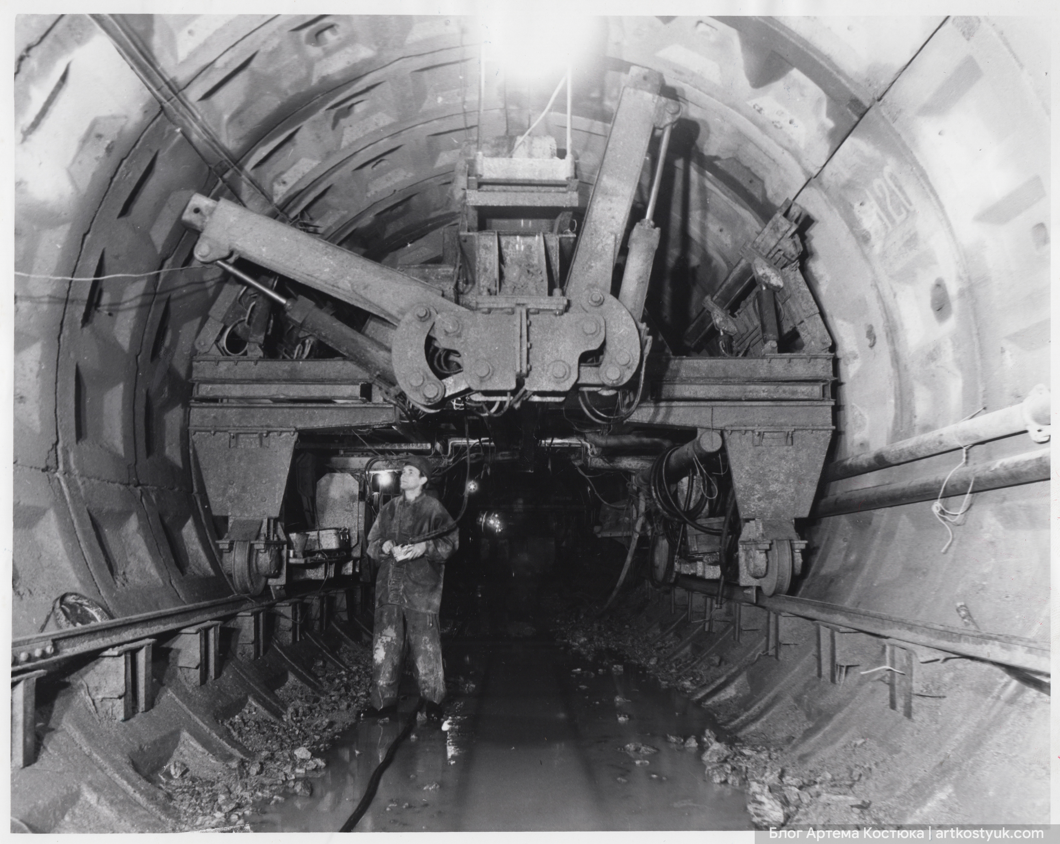 Фото: artkostyuk.com