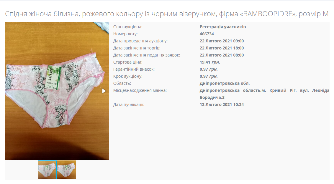 Всего на продажу выставили 36 трусов / фото: setam.net.ua