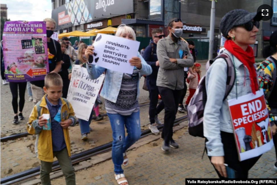 В Днепре прошел марш за права животных - фото: radiosvoboda.org