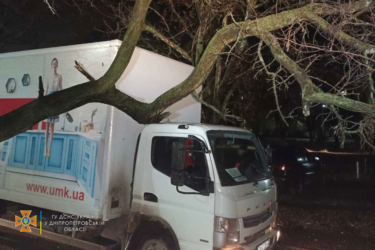 В Кривом Роге дерево убрало на грузовик - || фото: dp.dsns.gov.ua