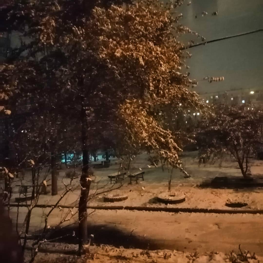 Снежный двор / фото: shliakhova8253