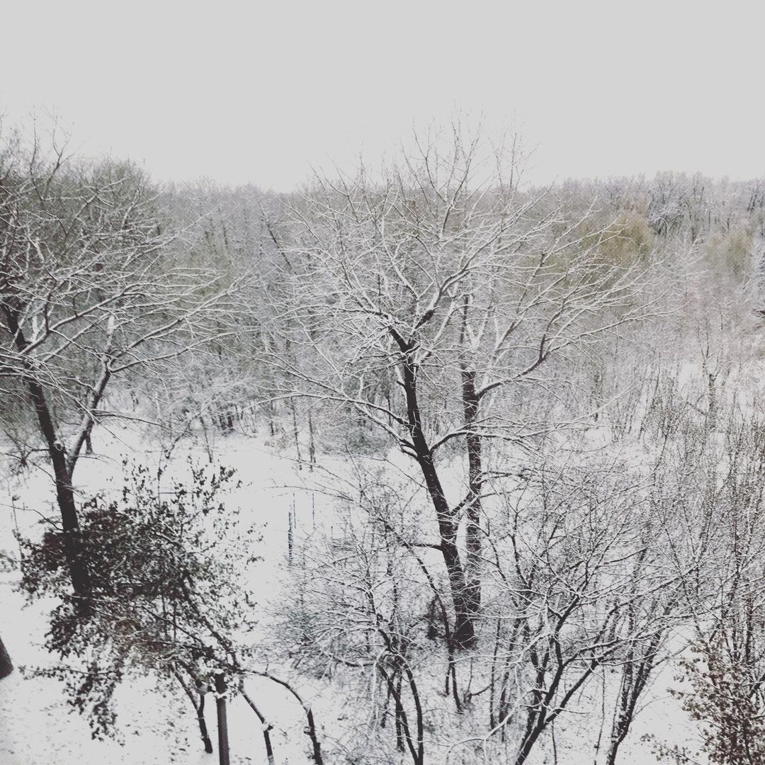 Новогоднее настроение уже близко / фото: dkazakova146