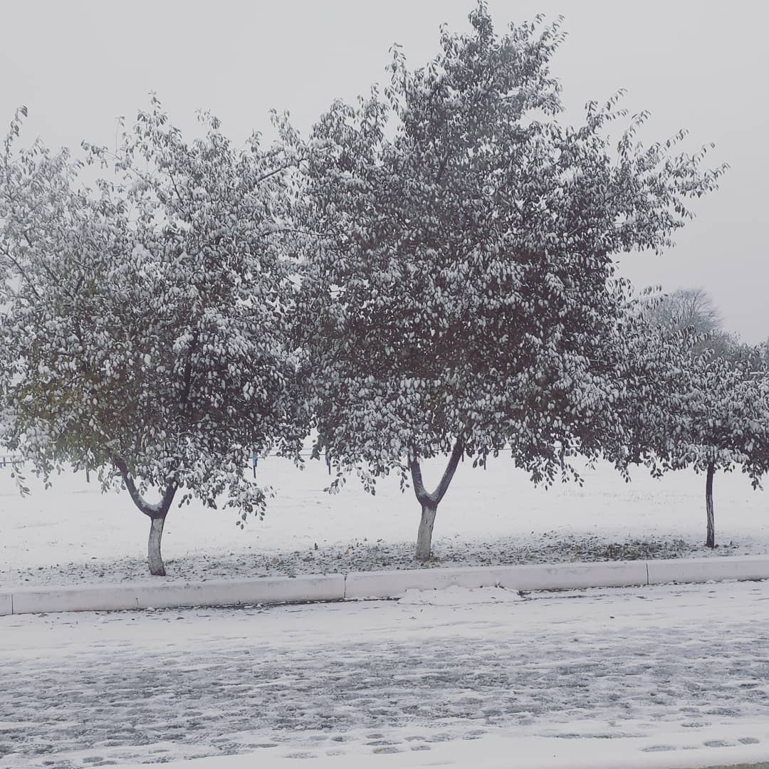 Снежочек / фото: dnepr_live_