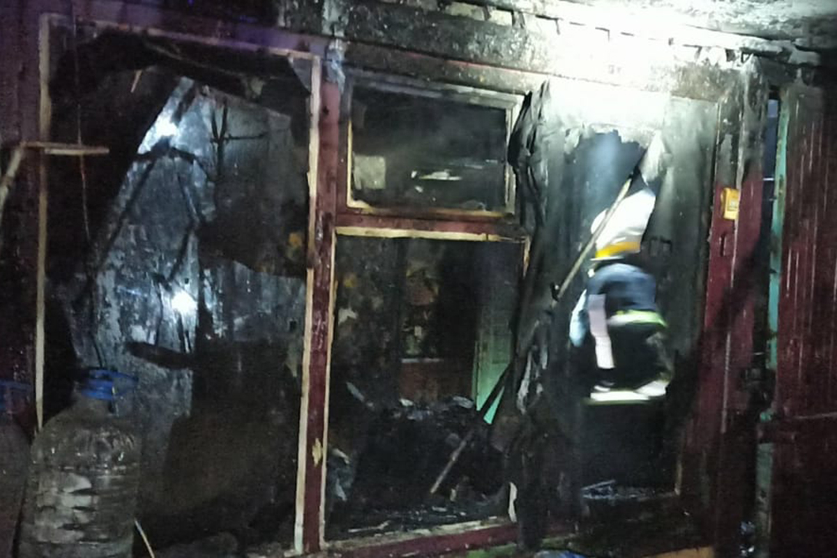 На пожаре пострадали двое деток / фото: ГСЧС