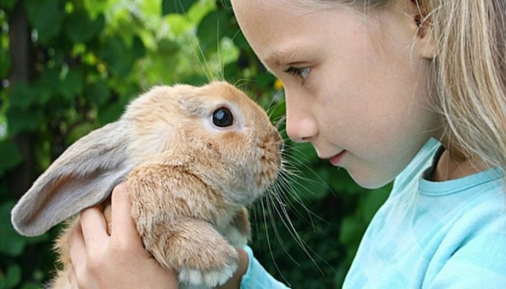 Трогательный зоопарк работает каждый день/ фото: detivgorode.ua