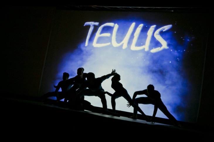 Teulis - фото: detivgorode.ua