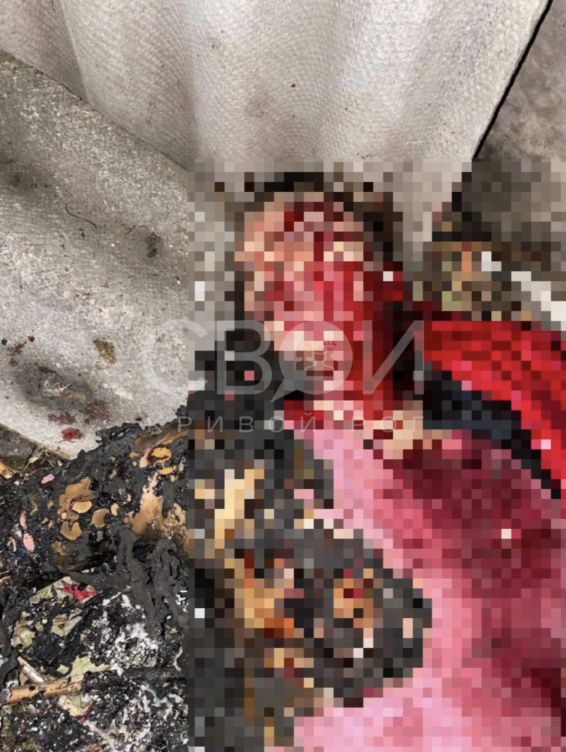 Тело жертвы пытались сжечь - || фото: svoi.kr.ua