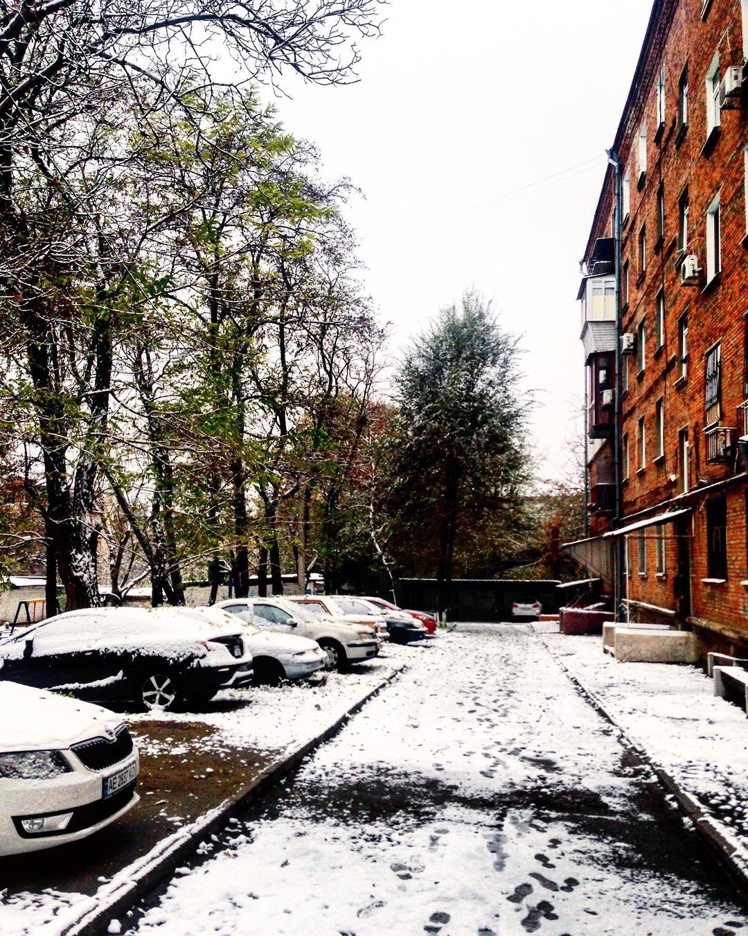 Машины укрыло снегом / фото: kadirhamrouni