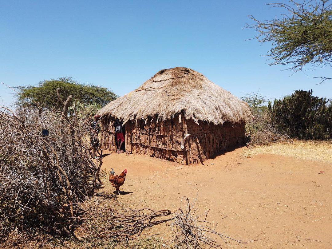 Хижина  / фото: maryna.filatova