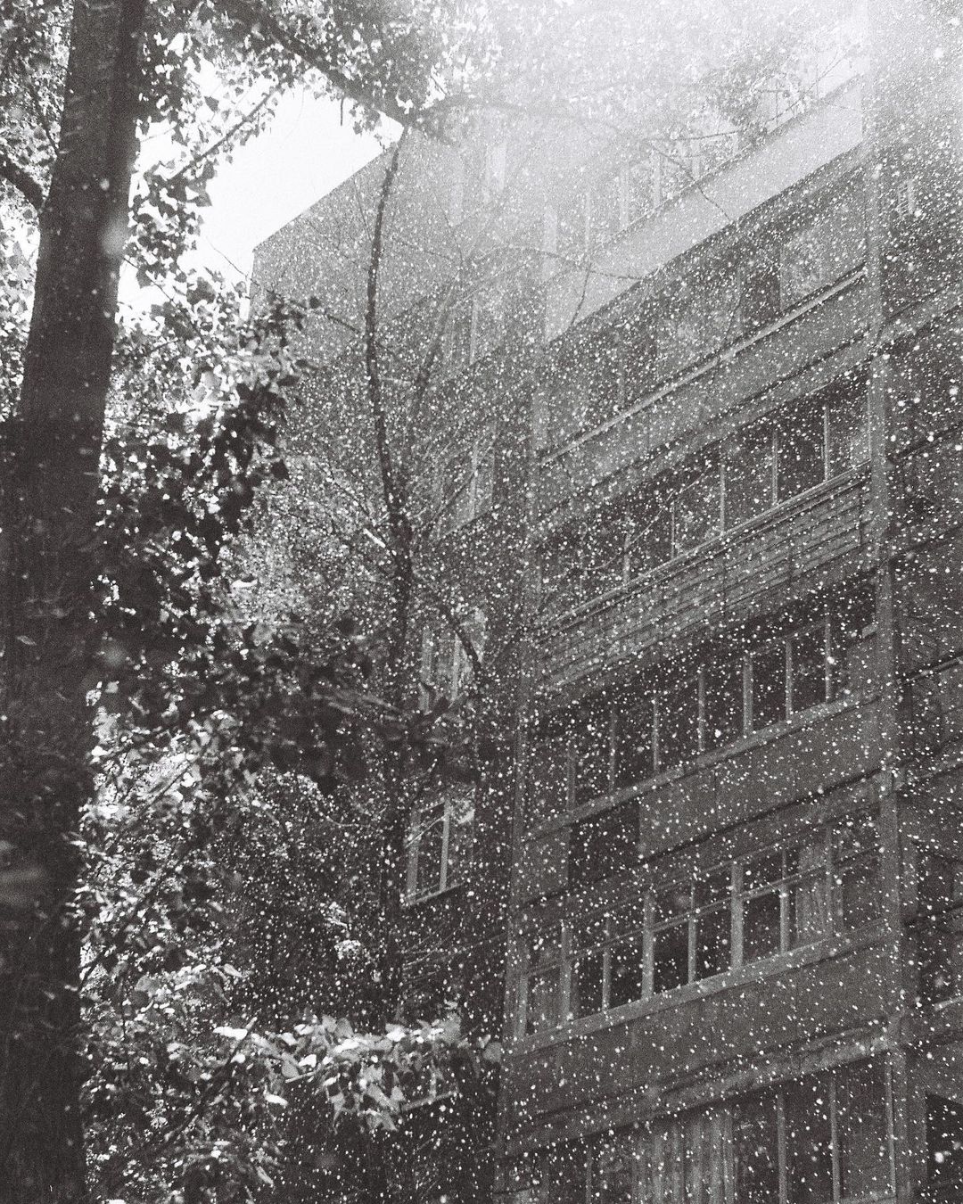 Снегопад в городе / фото: nakovalnya.photo