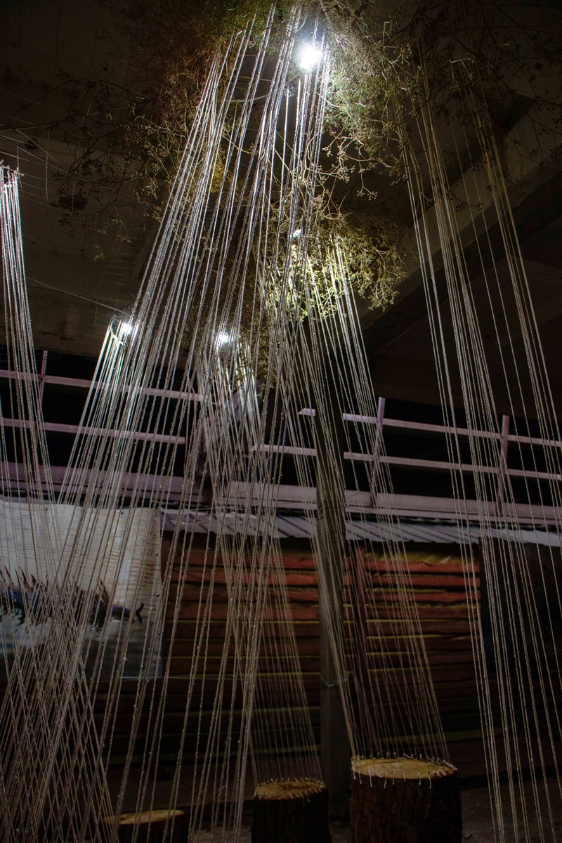 Подготовка к перформансам / фото: мэрия