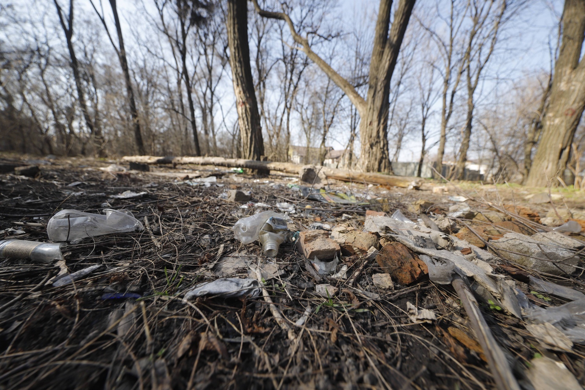 Сейчас сквер выглядит не очень - фото: dniprorada.gov.ua