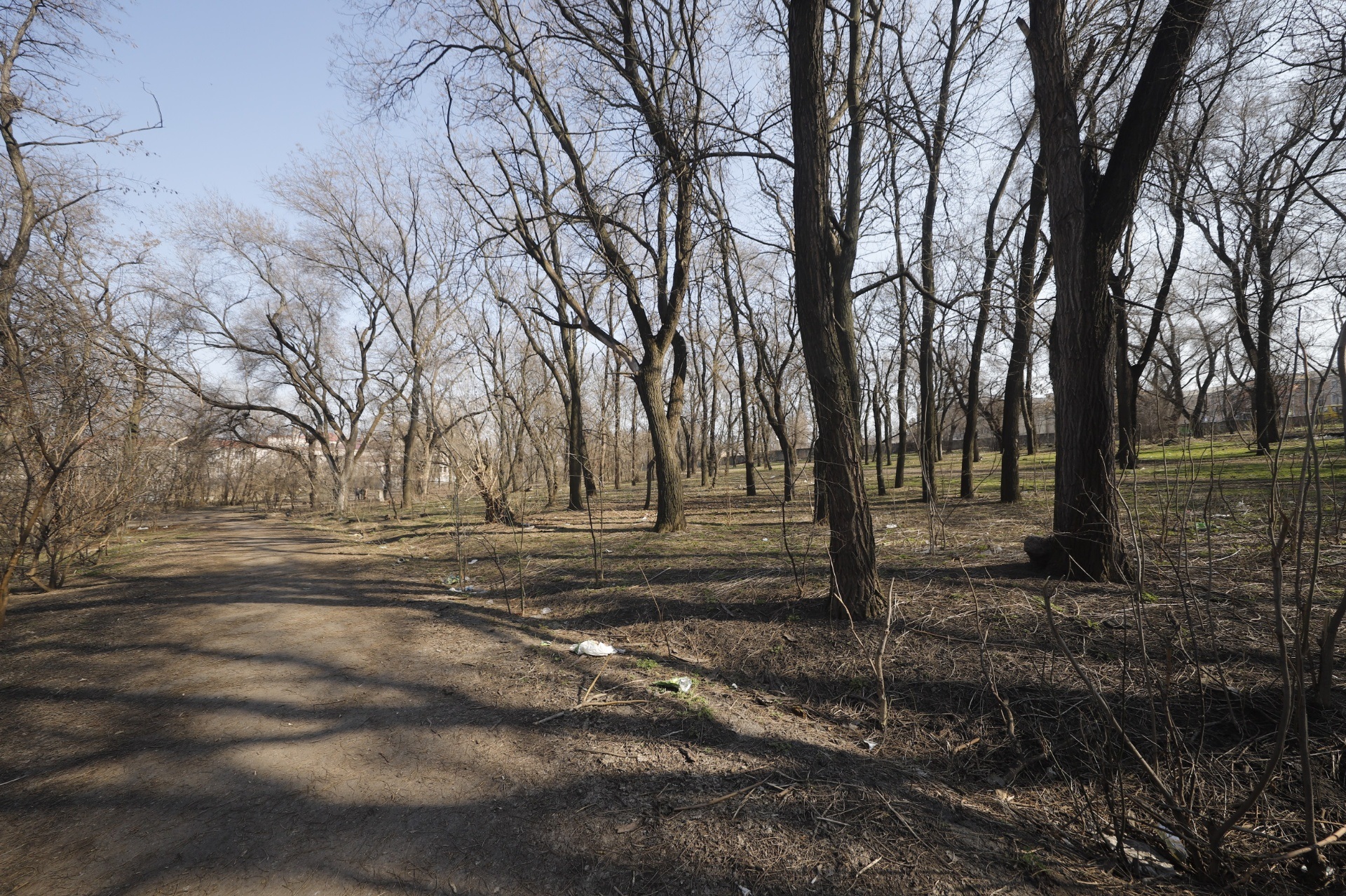 В будущем здесь может быть отличная зона отдыха - фото: dniprorada.gov.ua